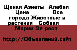 Щенки Азиаты (Алабаи) › Цена ­ 20 000 - Все города Животные и растения » Собаки   . Марий Эл респ.